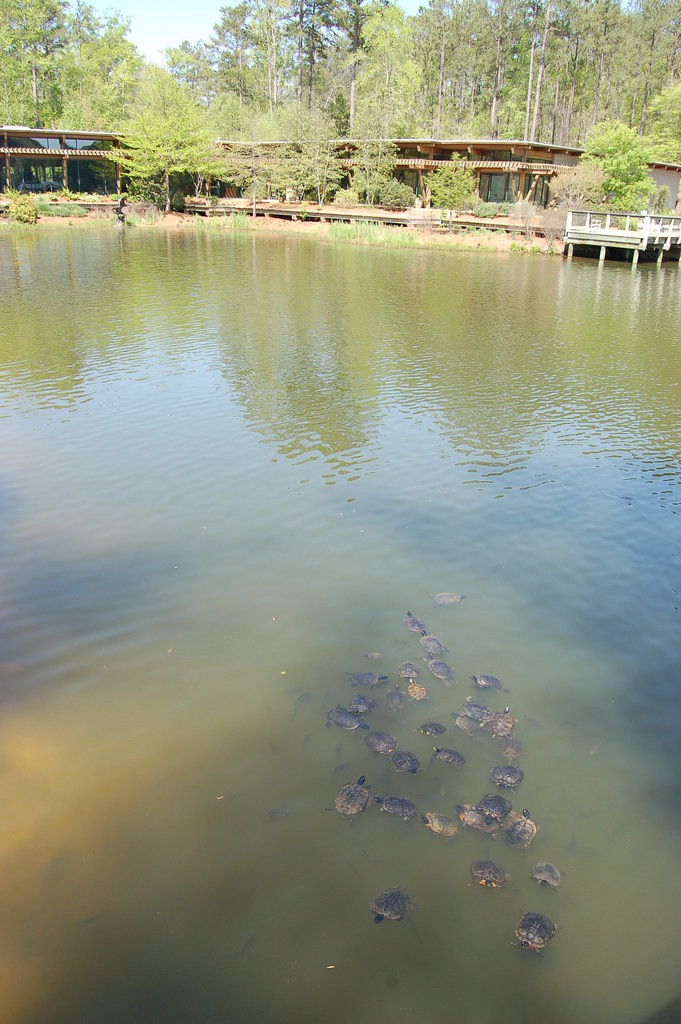 Callaway Gardens April 2008 Callaway Gardens® is a stunn… Flickr