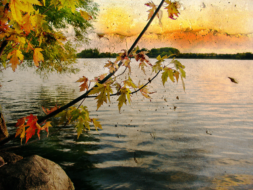 Butterfield Lake View On Black Dave Linscheid Flickr