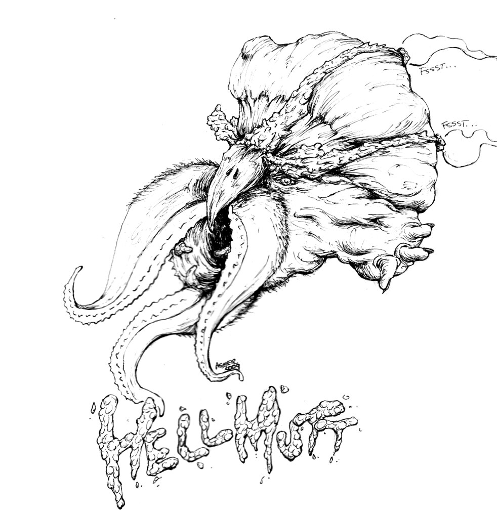 hellmutt hellmutt_raw asher levenson Flickr