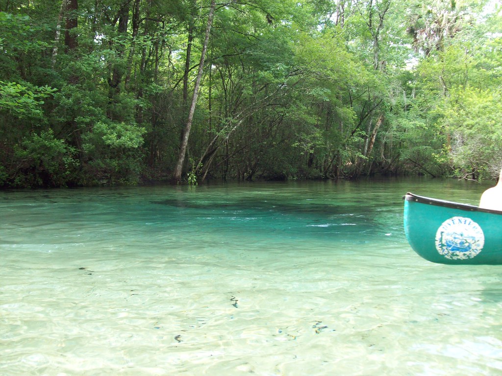 Econfina Creek and Springs Kayaking on the Econfina Flickr