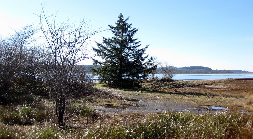 Willapa Bay Waterfront on property On the waterfront lands… Flickr