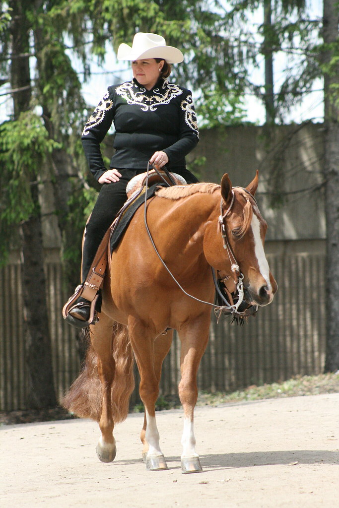 Eastern Ohio Quarter Horse Association AQHA Show Flickr