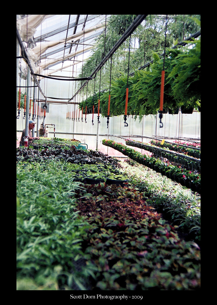 Rosemeade Garden Center Carrollton Ricoh XRM Lots of plan… Flickr