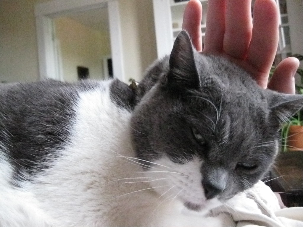 JellyPants ew la la danielleyung Flickr