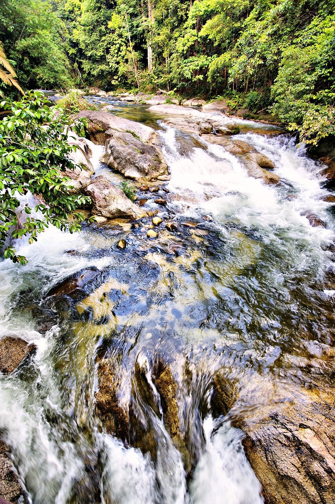 Lata Sedim / Kulim Kedah Sedim, Kulim Kedah