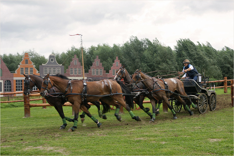 FourinHand 4 The 2008 World FourinHand Driving Champio… Flickr
