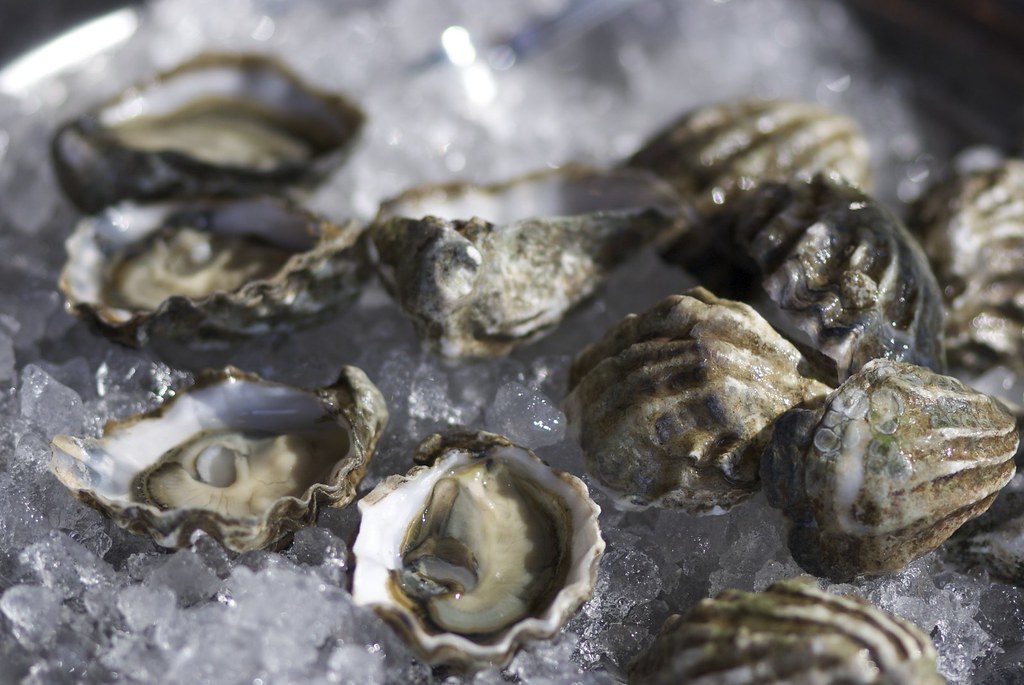 Kumamoto oysters 2009 Pacific Coast Oyster Wine Competitio… Flickr