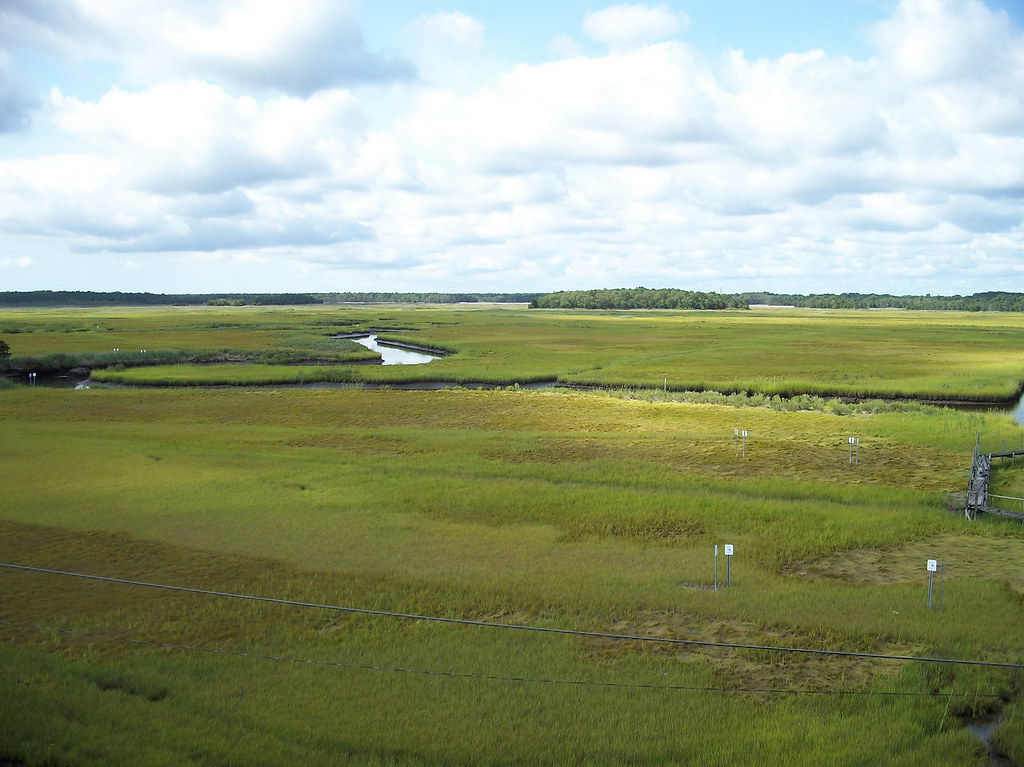 Elevation of Bass River State Forest, Stage Rd, Tuckerton, NJ, USA