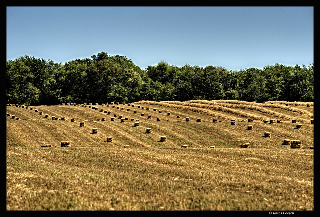Rt. 539 Hay Field New Egypt, New Jersey James Loesch Flickr