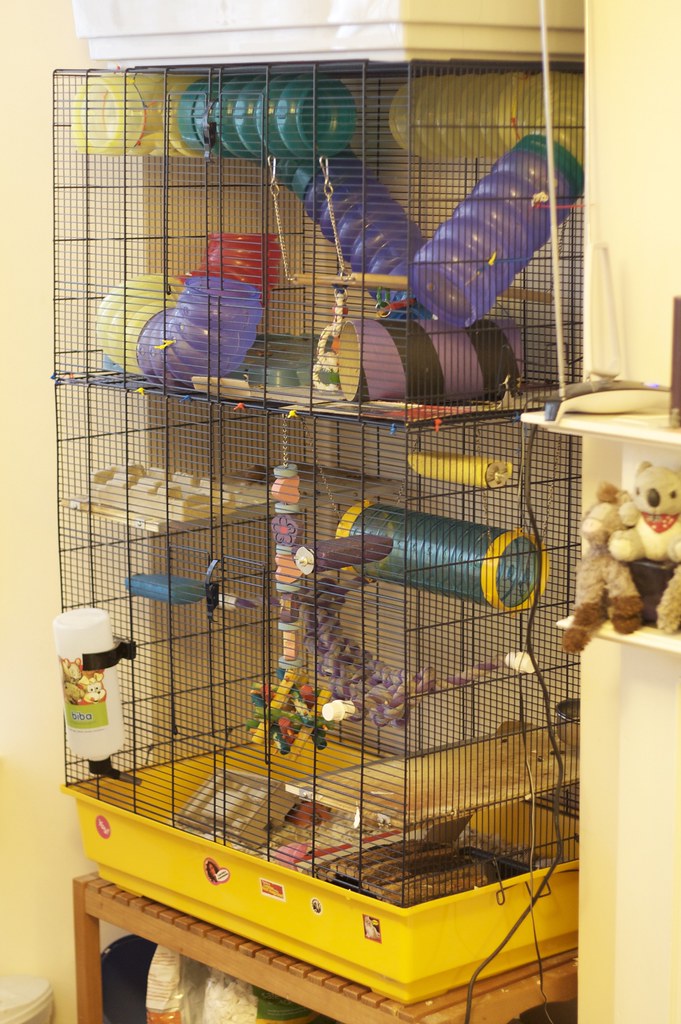 Multilevel Rat Cage We spoil our girls. I've just used lo… Flickr