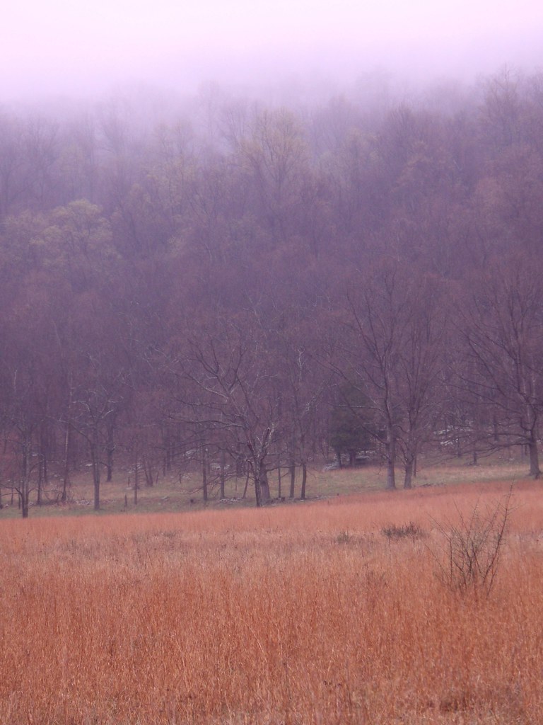 knobley12 Knobley Road WV, Between Short Gap and Maysville… Flickr