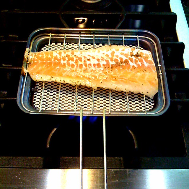 japanese stovetop fish grill I got this at the Japanese do… Flickr