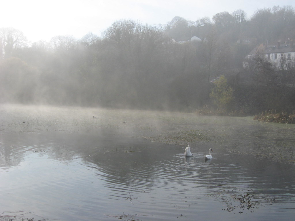 IMG_0399 Greenfield, Flint 29.11.08 carol.farrer Flickr