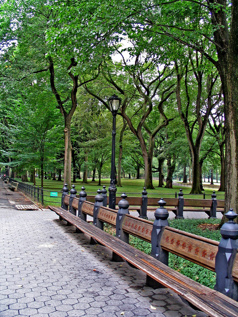 Central Park Benches Near the Mall in Central Park. Daniel Haug