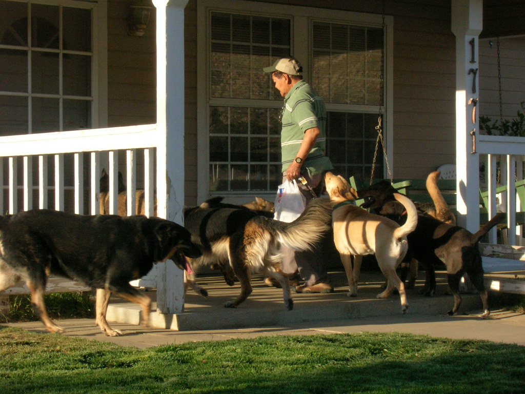 DSCN3820 Lucky Dog Ranch Flickr