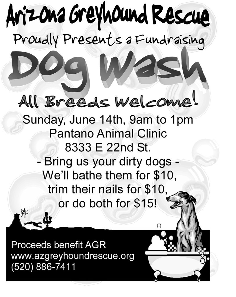 Arizona Greyhound Rescue Dog Wash! Coming soon! O.K. all y… Flickr