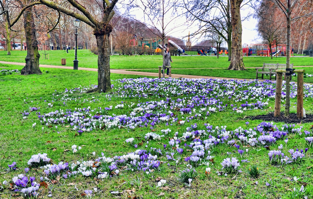 Hyde Park flowers Shorouq Flickr
