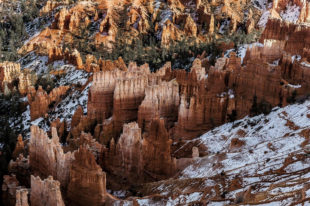 Elevation of JWG9+M2, Tropic, UT, USA Topographic Map Altitude Map