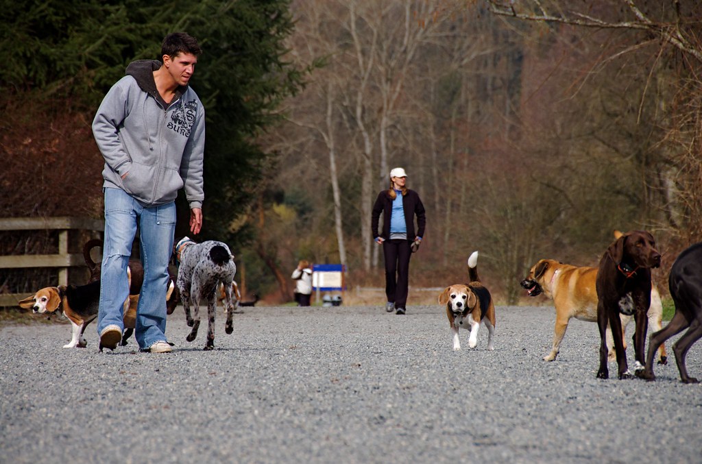 Off leash at Marymoor King County's Marymoor Park off leas… Flickr