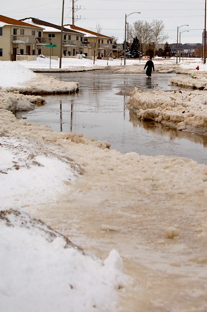DSC_2632 Bismarck, ND flood 2009 blogged www.bisongirl.co… Flickr