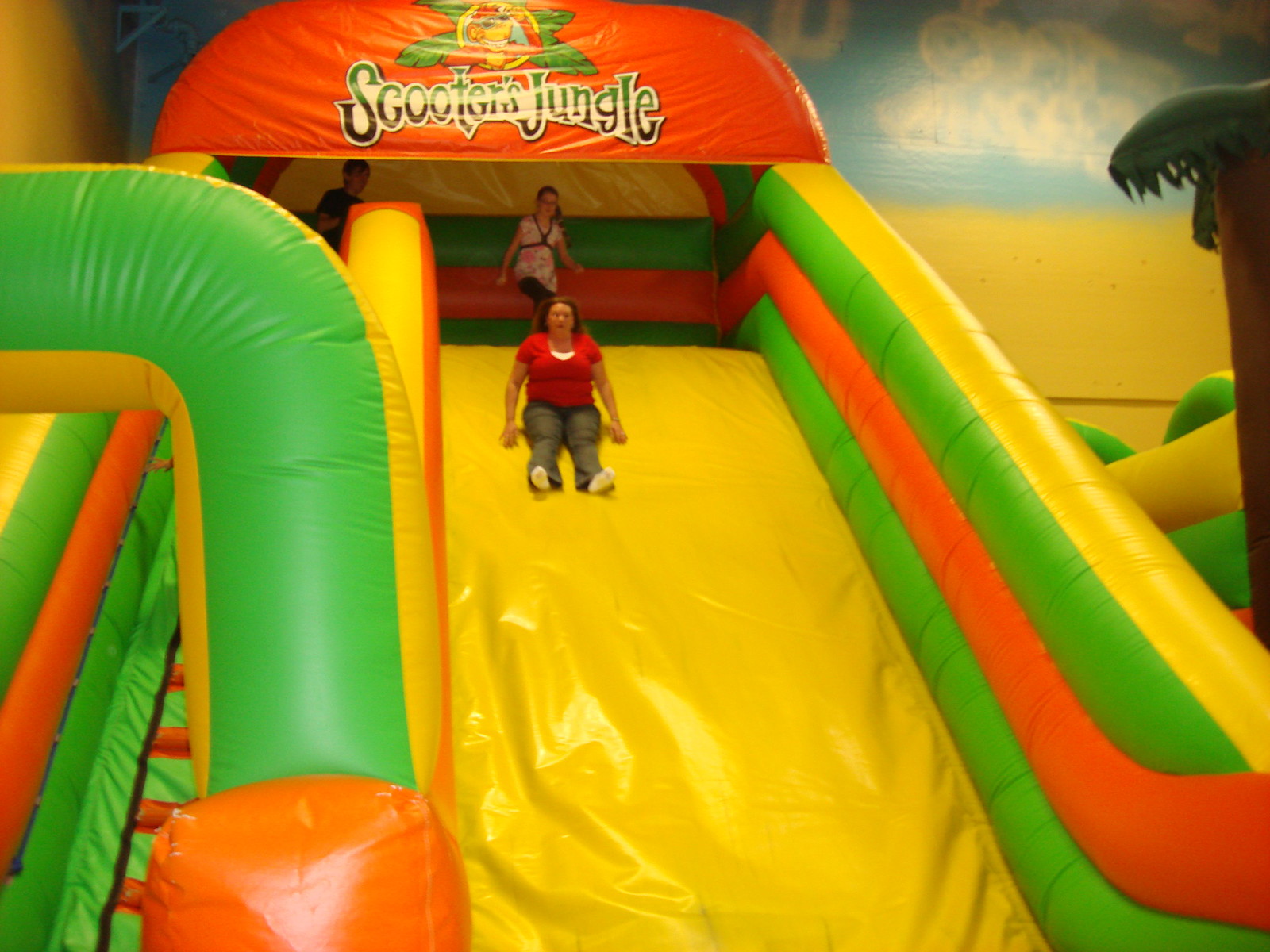 Scooter's Jungle Flickr