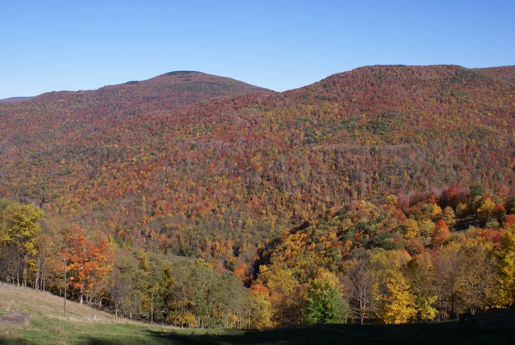 Tory Mountain and the Dry Fork valley Fall coloration in R… Flickr