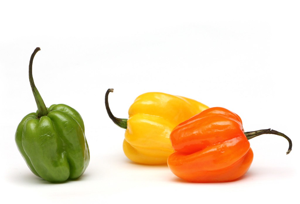 Hot Jamaican peppers James Flickr
