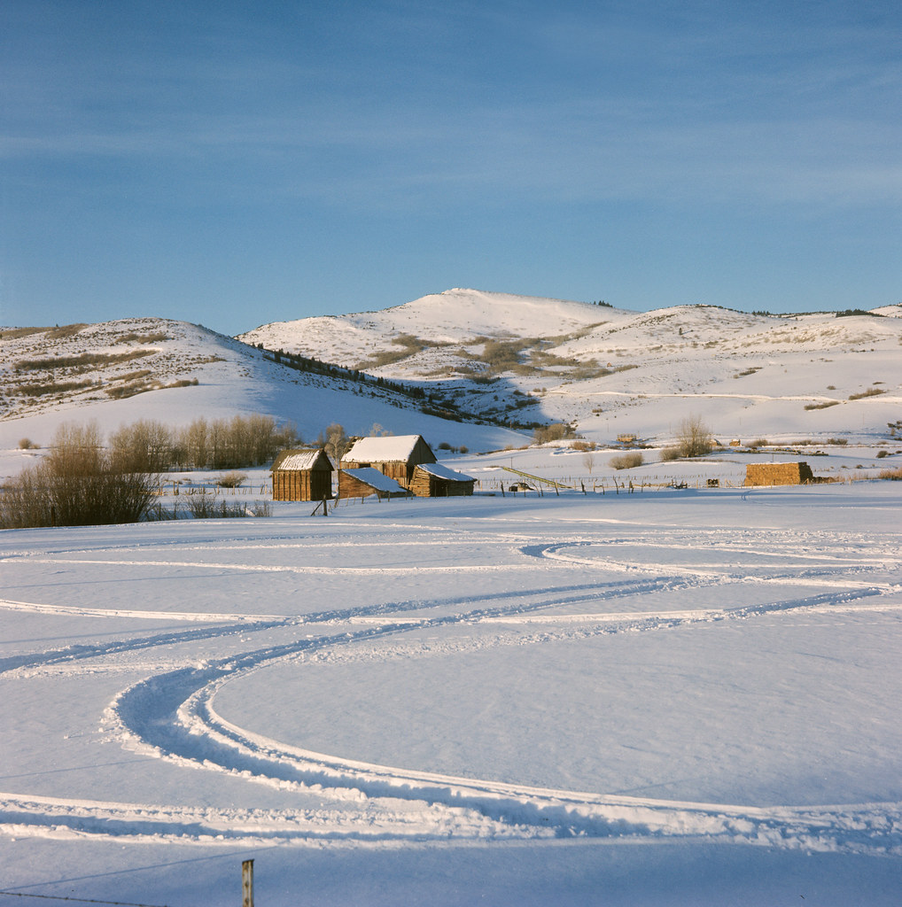 Tracks in the Snow Garden City, Utah Gale Lindstrom Flickr