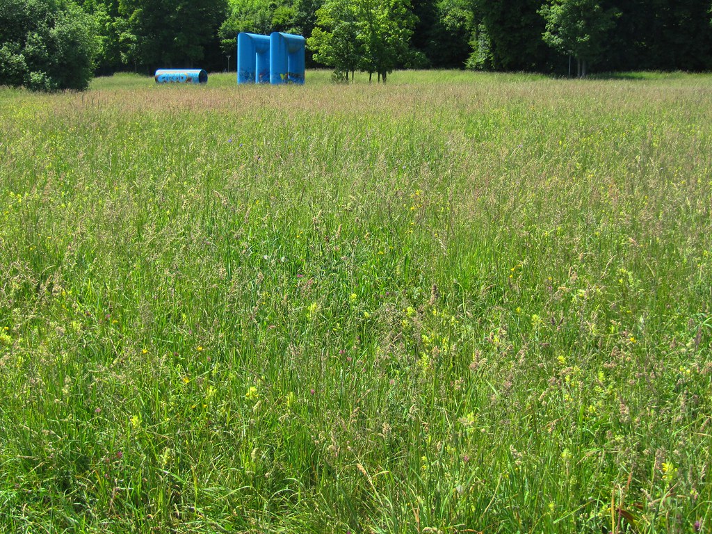 Land Art Bluegreen Constance 10 Artwork nearby the Univ… Flickr