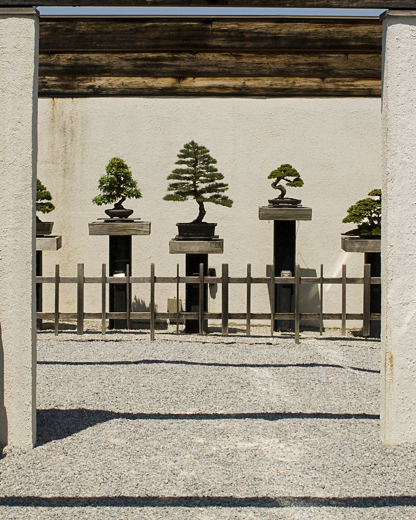 Bonsai Garden National Arboretum Washington DC Mother's Da… Flickr