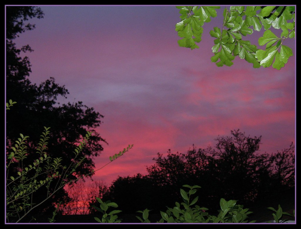 April Sunset Sunset. Houston, Texas. April 4, 2009. PINKE Flickr