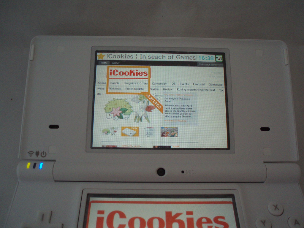 DSi browser icookies.co.uk Onthe DSi buffys charms Flickr