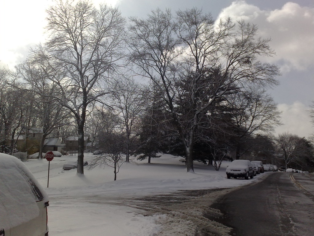 03/02/2009 Alexandria VA March Snow Parkfairfax ahbatum Flickr