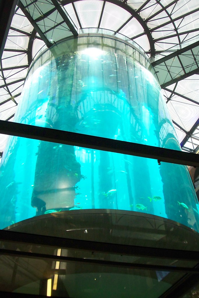 Berlin aquarium lift europe's largest aquarium, where a l… Flickr