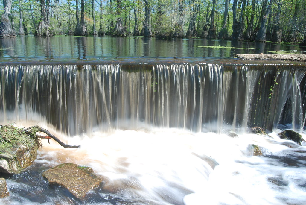 Spillway Merchant Mill Pond State Park, Gates County,NC mark