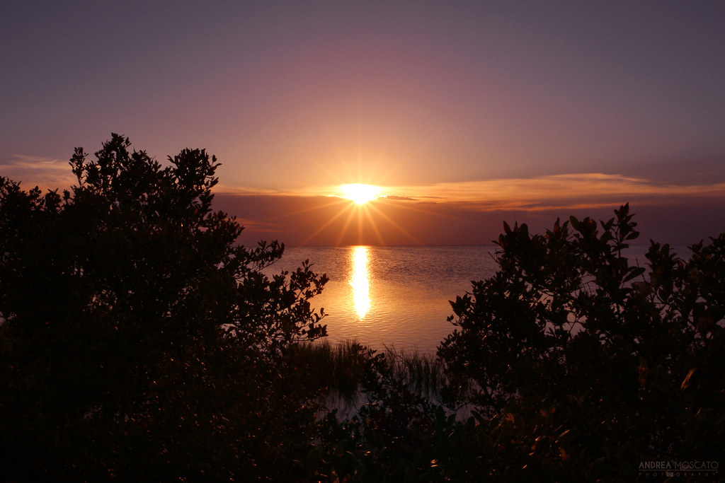 Laguna Madre, South Padre Island Texas Andrea Moscato Flickr