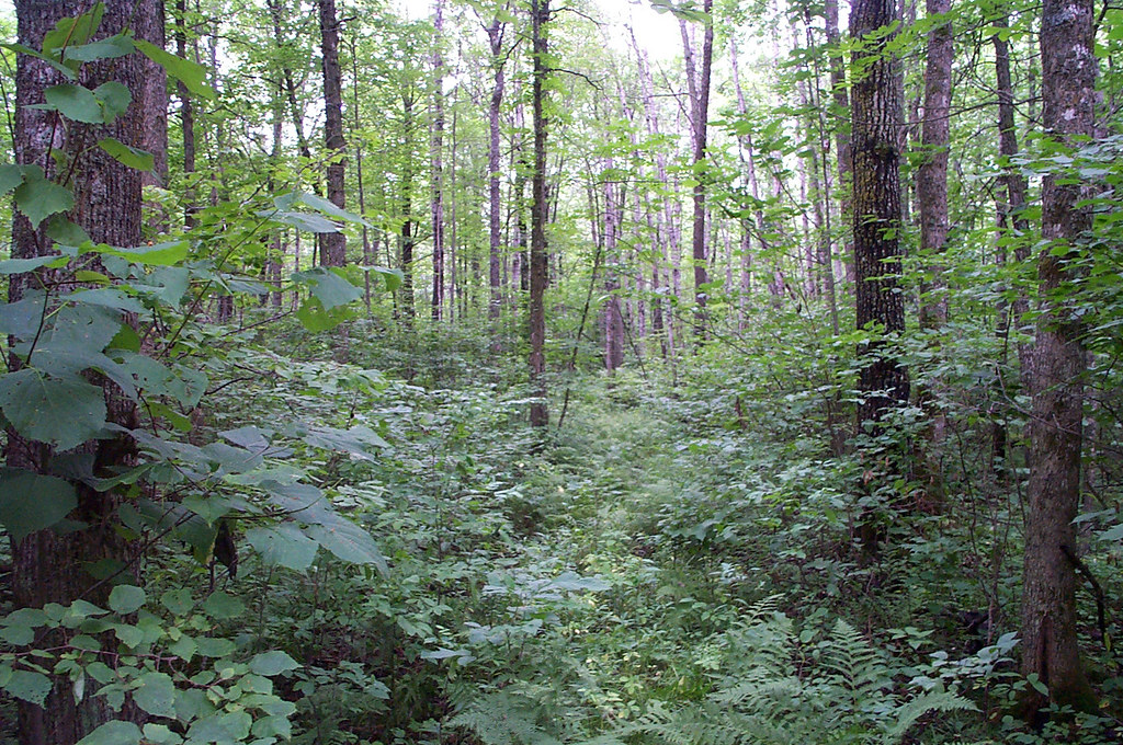 Rice Lake National Wildlife Refuge There are more than 7,0… Flickr