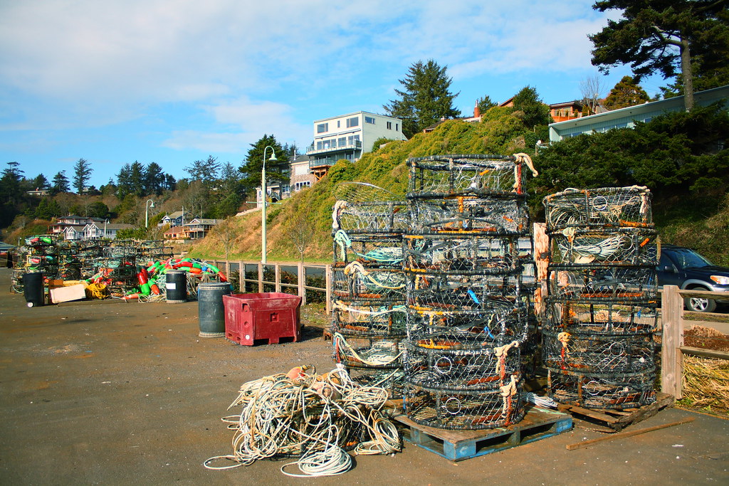 Best Pots Newport Oregon at Jimmy Chavez blog