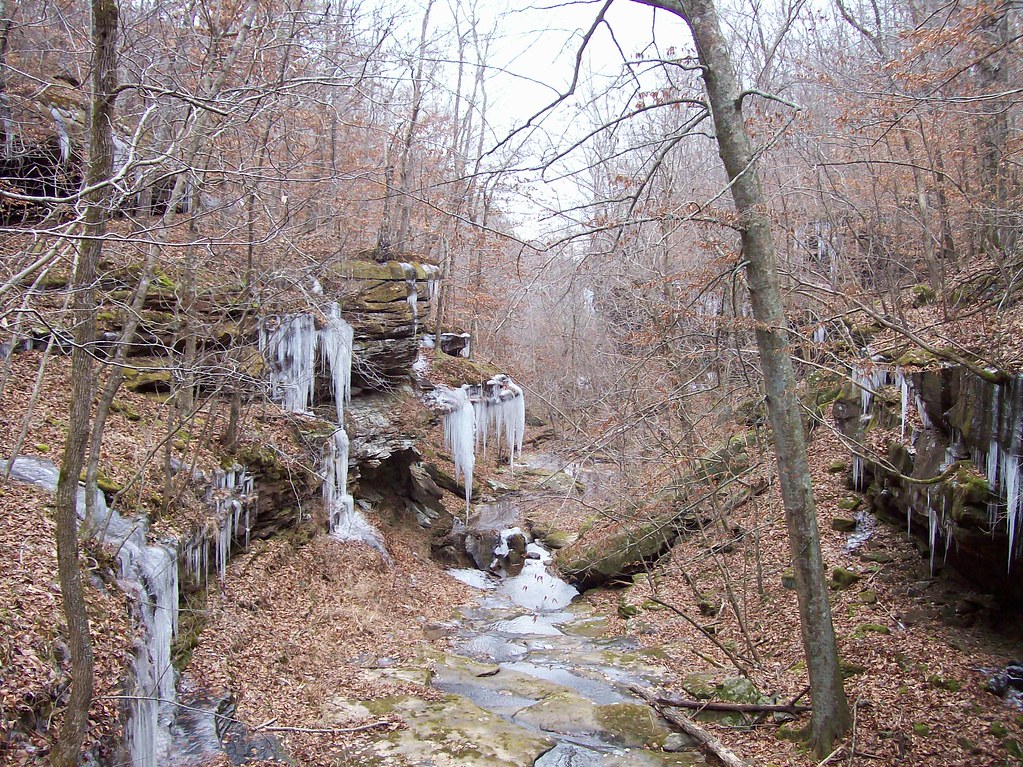 Dismal Hollow geojag Flickr