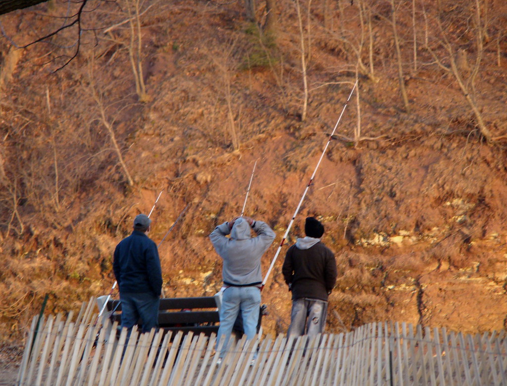 Donaldson Park Flickr