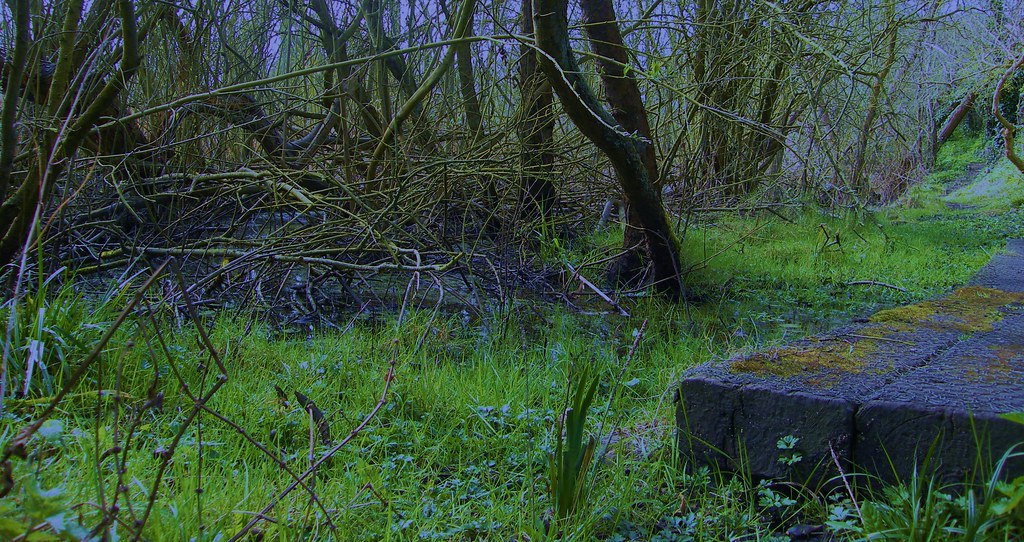 "Wildlife Trusts, Norwood Road. March Camb's UK...382b Flickr