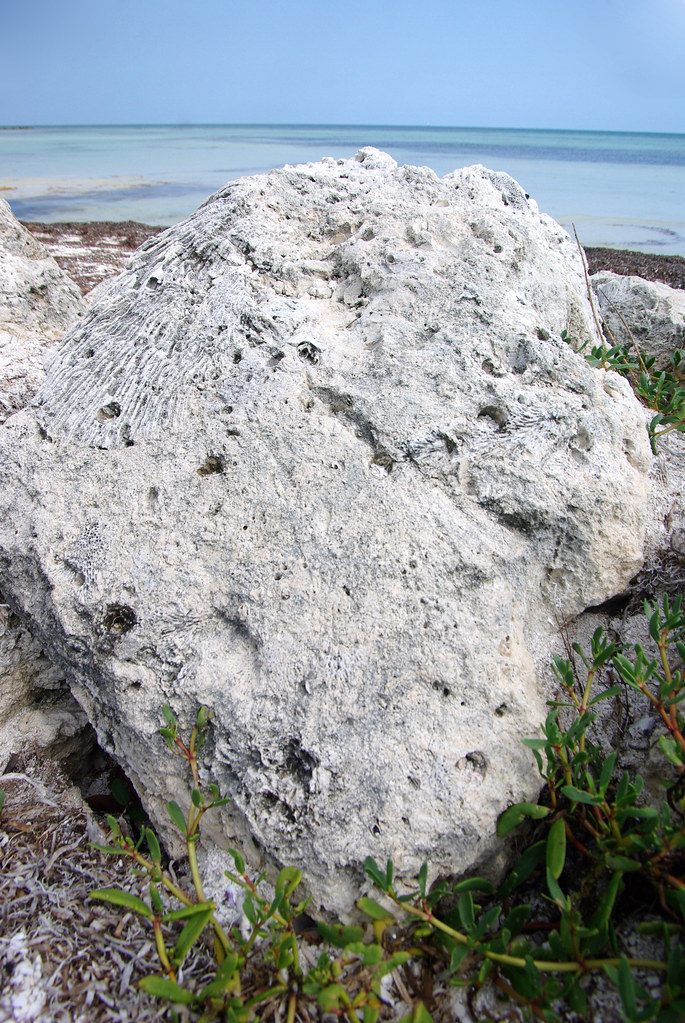 Florida Keys Bahia Honda coastline and Key Largo limestone… Flickr