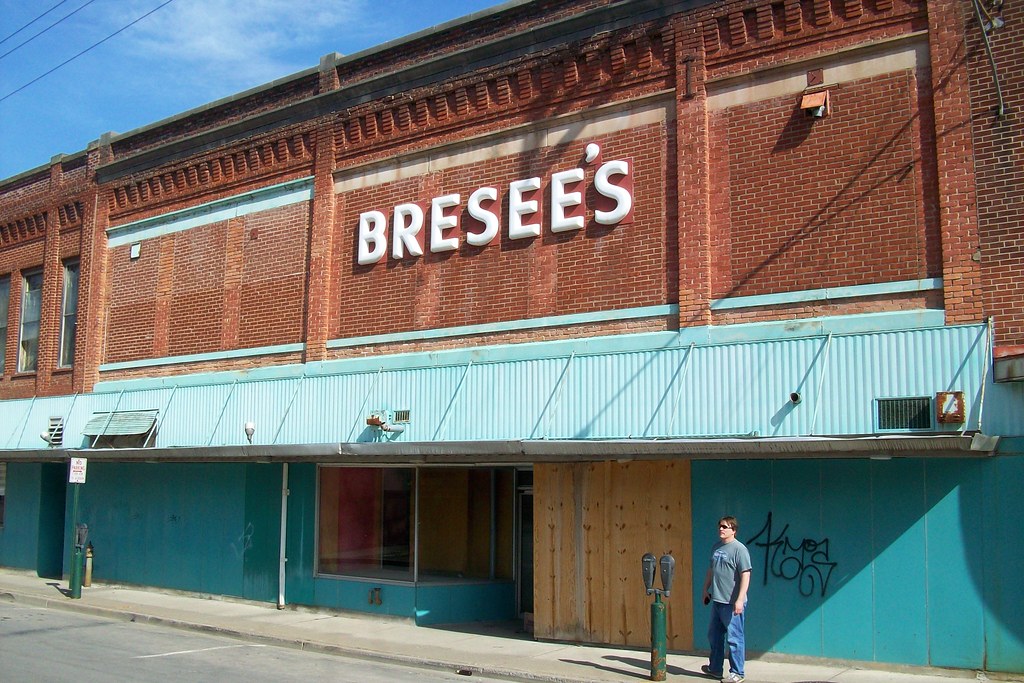 Rear of Bresee's Oneonta Depratment store Oneonta, NY 2009… Flickr
