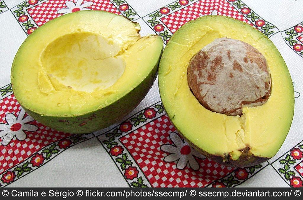 Cortando o abacate Receita aqui / Recipe here. Nome Cientí… Flickr