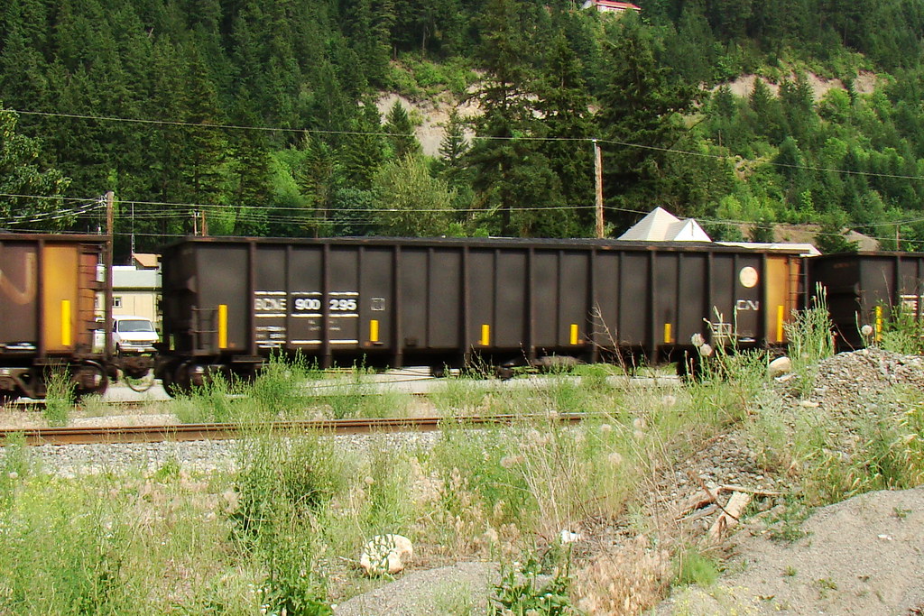 BCNE 900295 In Boston Bar BC. fleandca Flickr