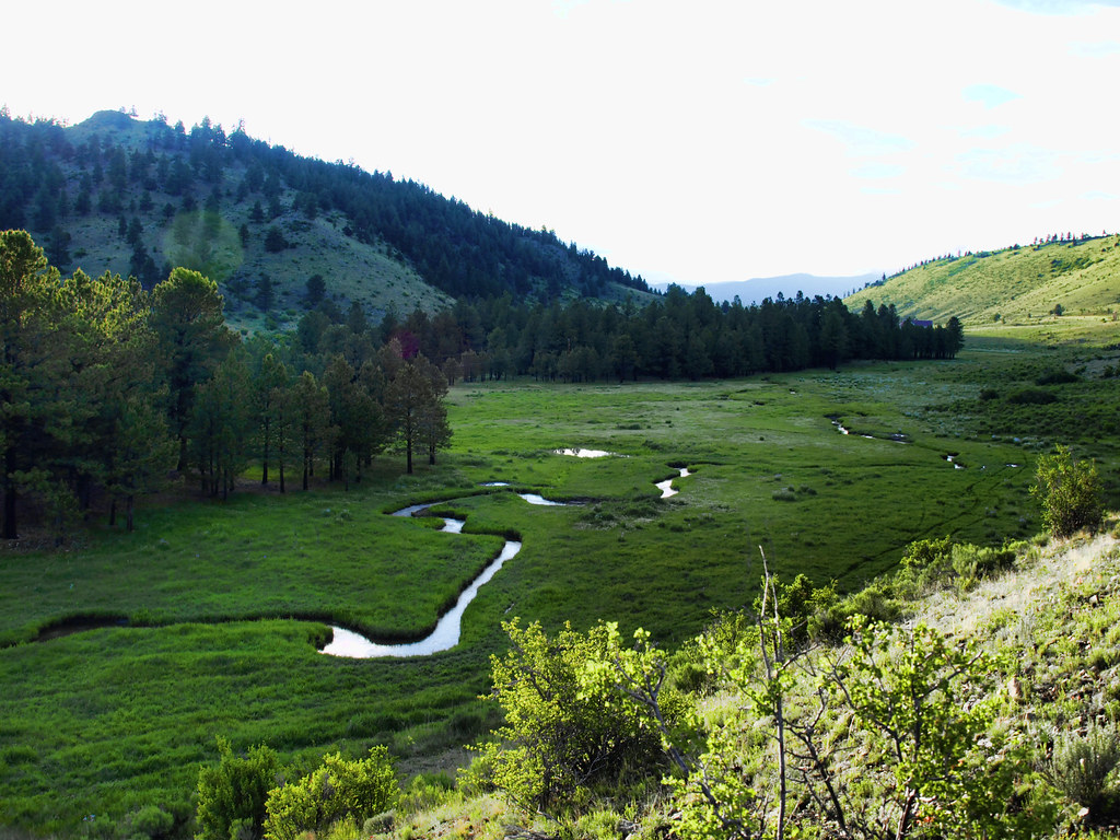 Eagle Nest New Mexico. C Diamond C Ranch Moreno Creek that… Flickr