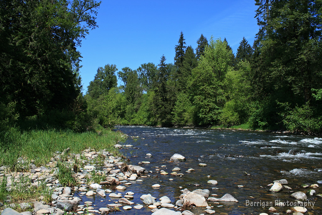 WA_8192_Lewis_River East Fork of the Lewis River as it flo… Flickr
