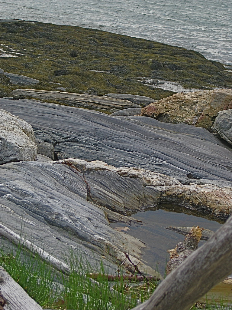 Ledge with small tidal pool Mere Point. Brunswick, Maine Flickr