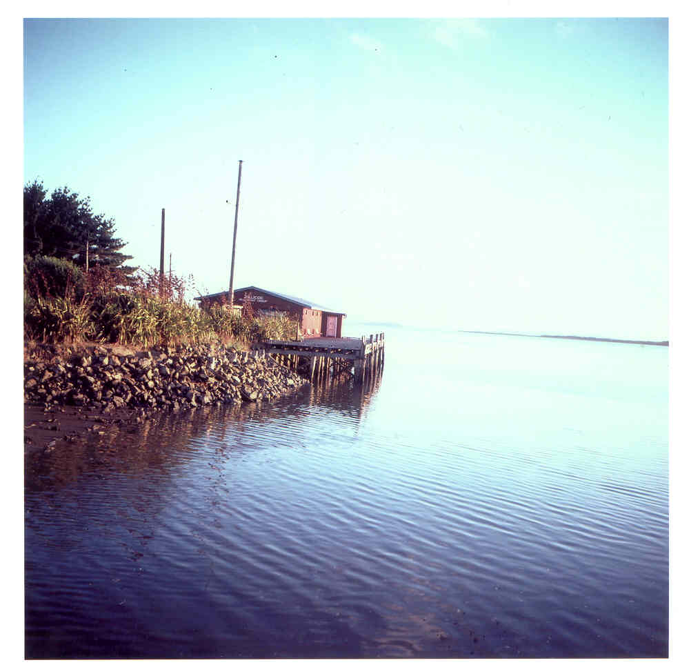 Invercargill estuary 18 month old expired Fuji Provia. 40 … Flickr