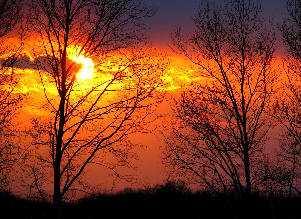 Sunset through trees Sunset from Gravel Hill UMC Pelatiah Flickr